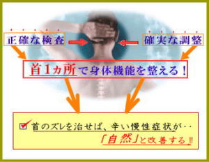 ���m�A�m���Ȍ��� ��1�����Őg�̋@�\�𐮂���